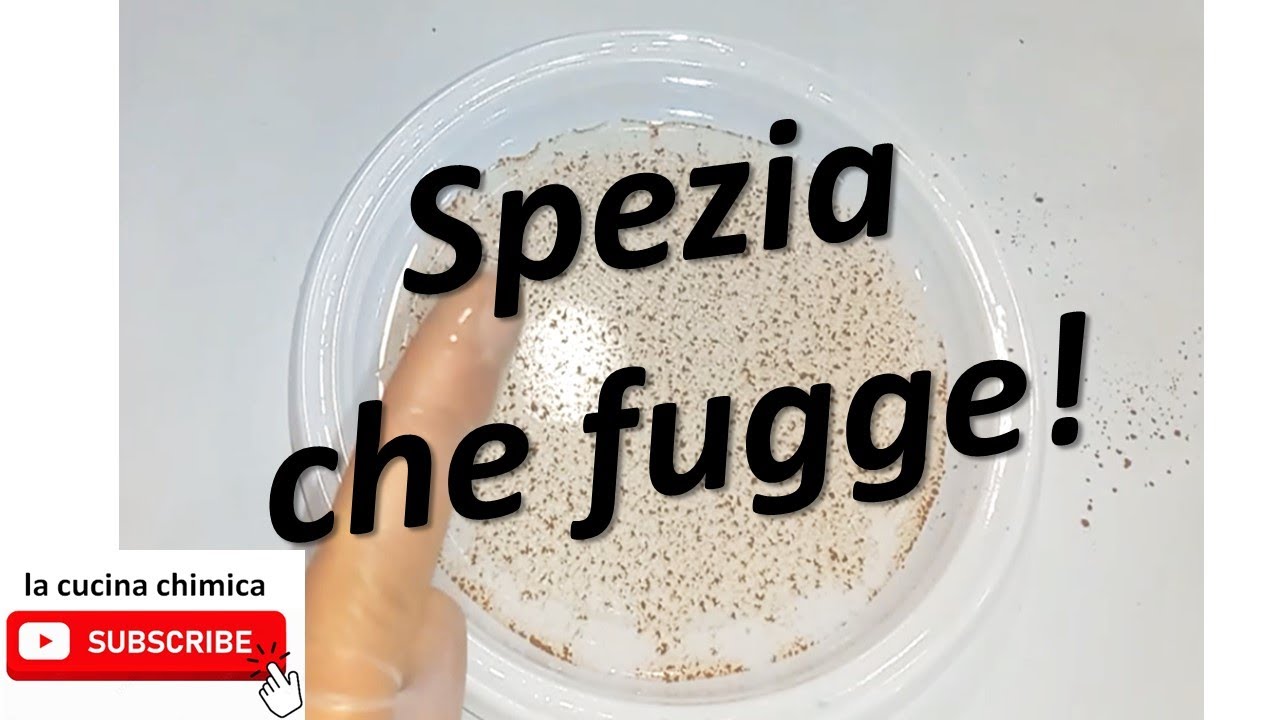 Spezia che fugge per capire la tensione superficiale attività stem docenti scuola secondo grado