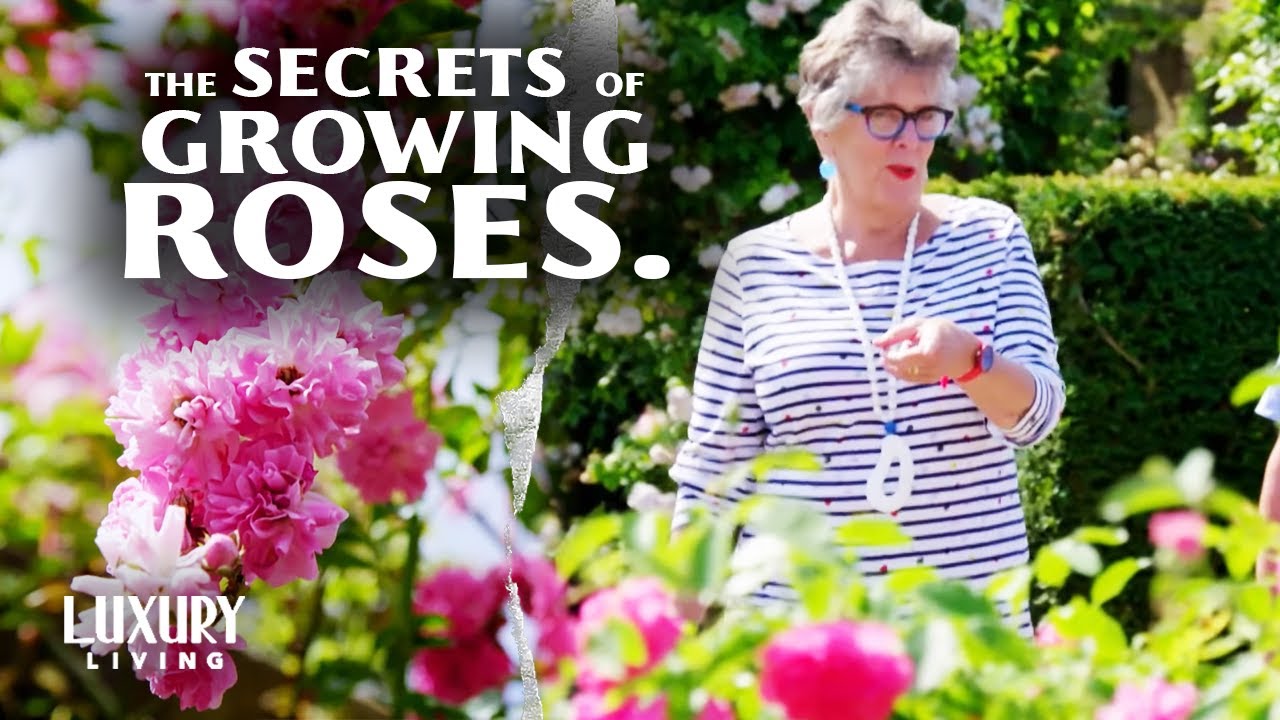 Prue Leith Discovers the Secrets of Growing Perfect Roses | Prue’s Great Garden Plot | EP 2