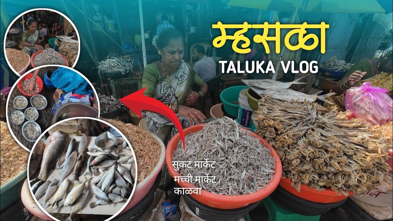 म्हसळा तालुका ❤️ ll Mhasla Taluka Vlog ll VLOG -3 ll @40210Vlog #mhasla #marathi