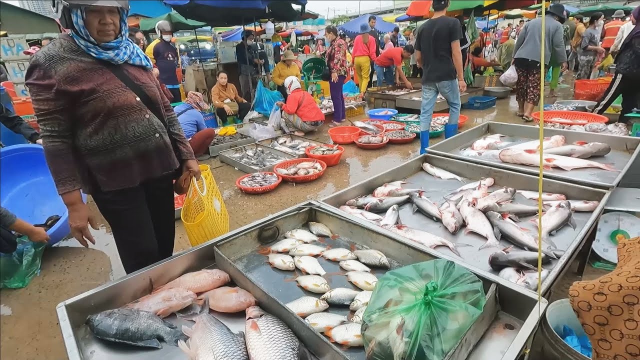 Awesome Fish Market Scenes Early Morning - Fish, Seafood, Crab & People Activities | Wet Market Tour