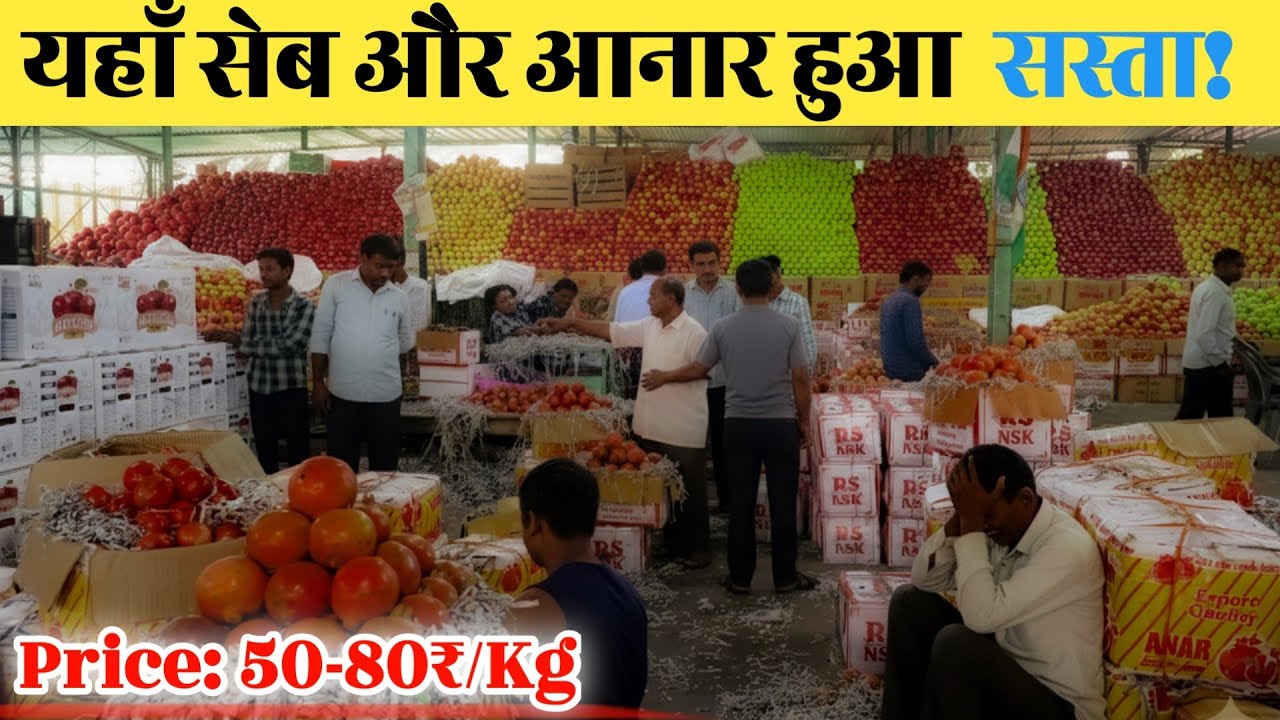 सेब और अनार हुए सस्ते | प्रयागराज मुँडेरा फल मंडी | Fruit Market Allahabad Mundera Naveen Mandi |