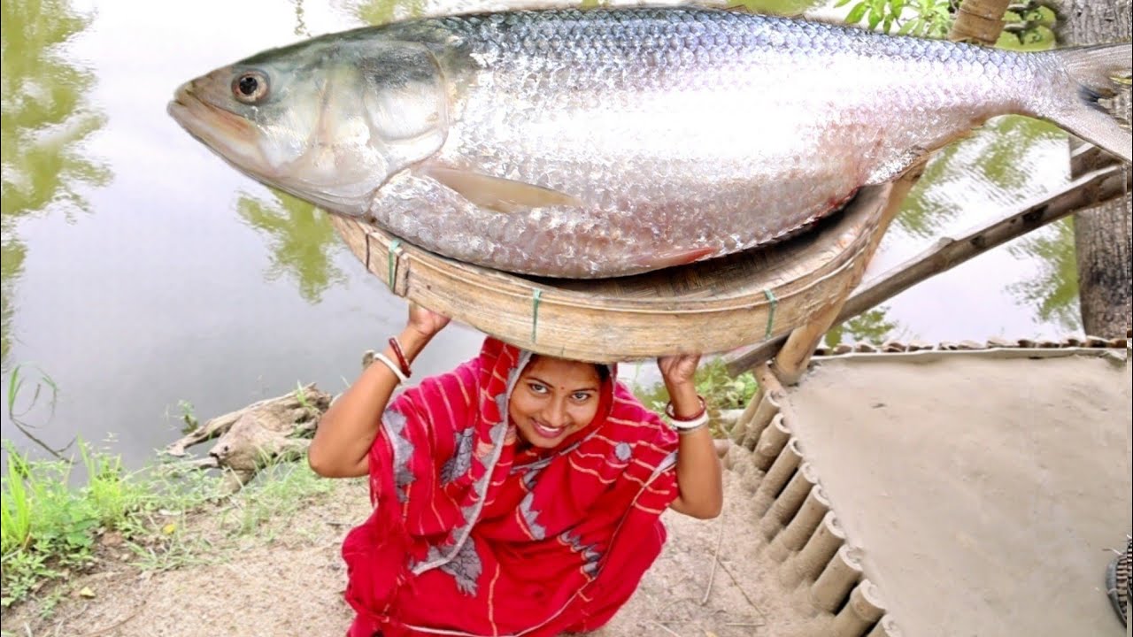 আবার একবার বিশাল বড় সাইজের পদ্মার ইলিশ মাছ কেটে রান্না করলাম,এবার 2.4kg সাইজের পদ্মার ইলিশ|fish cury