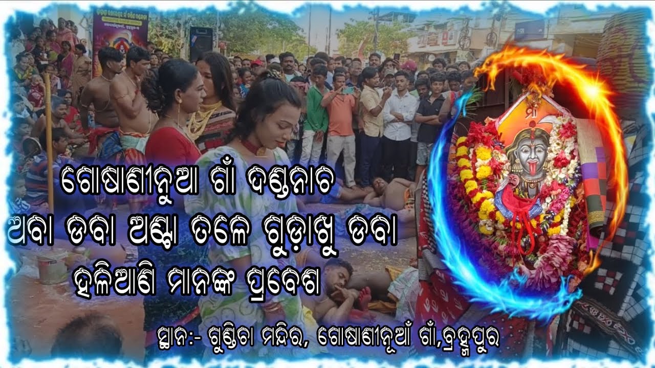 GOSANINUAGAON DANDA NACHA ABA DABA ANTA TALE GUDAKHU DABA HALIANI MANANKA PRABESHA.....🌺🌺🌺🌺🌺#maa