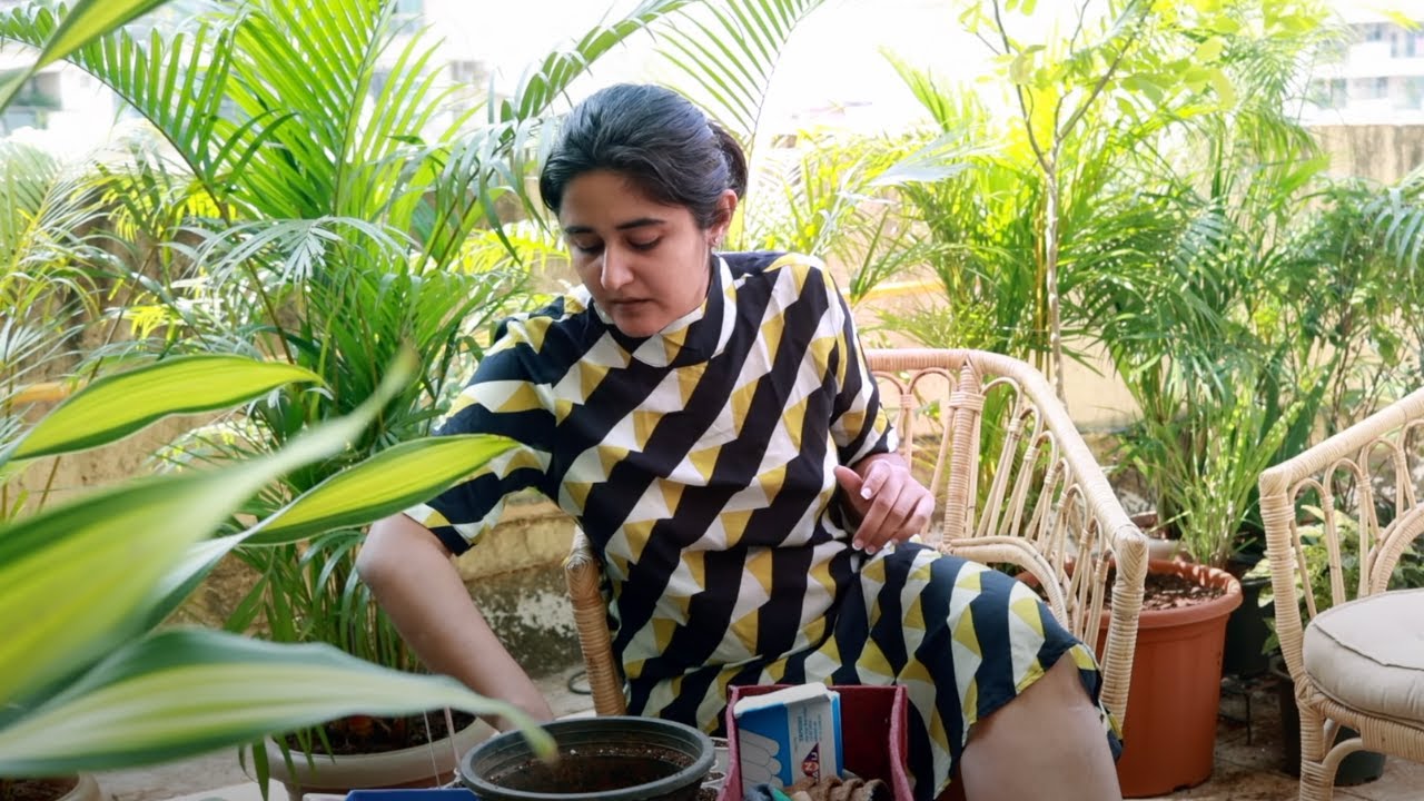In my garden these days | Garden Up