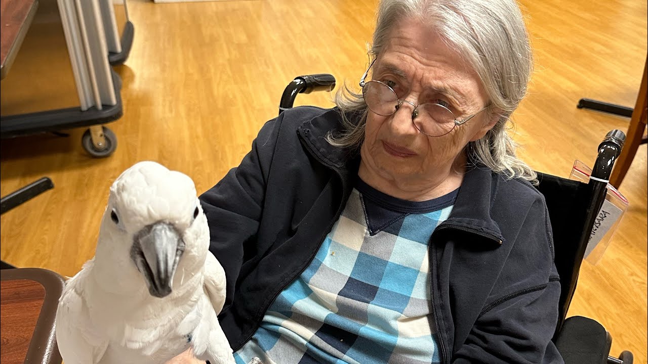 Chris threw a little birthday party for his Grandma Barbara!