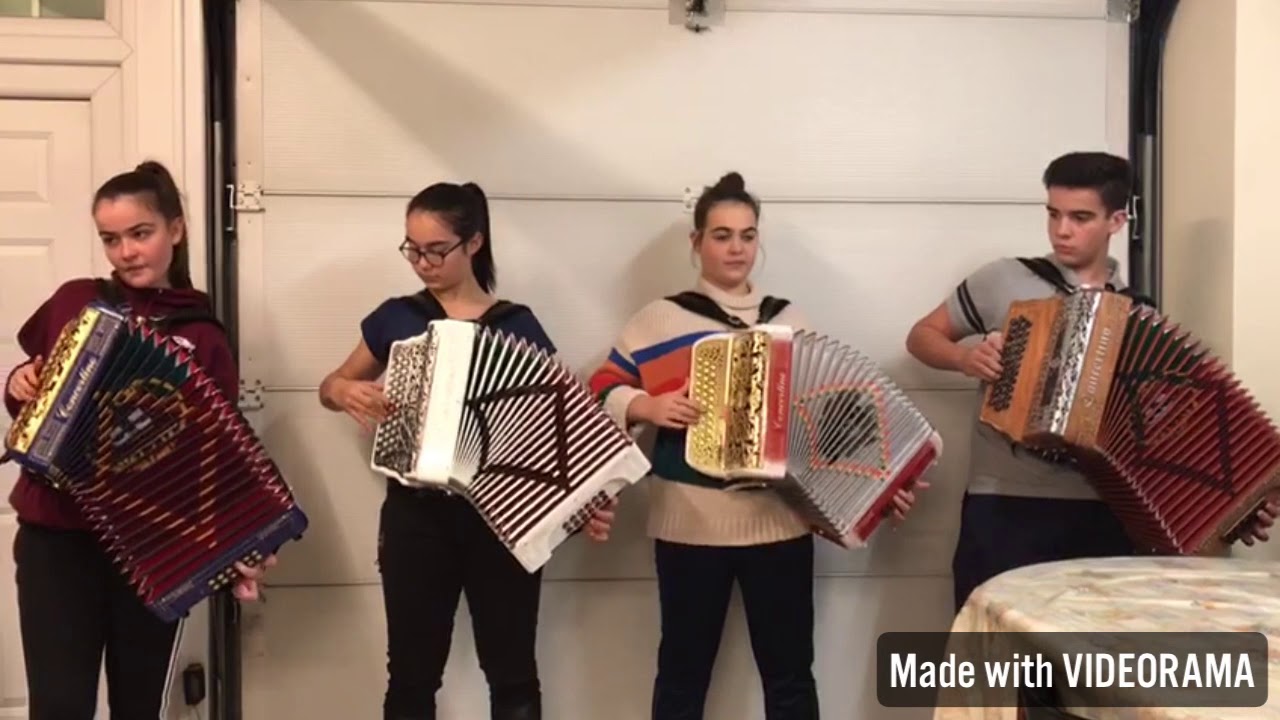 Como tocar VINHO VERDE na concertina