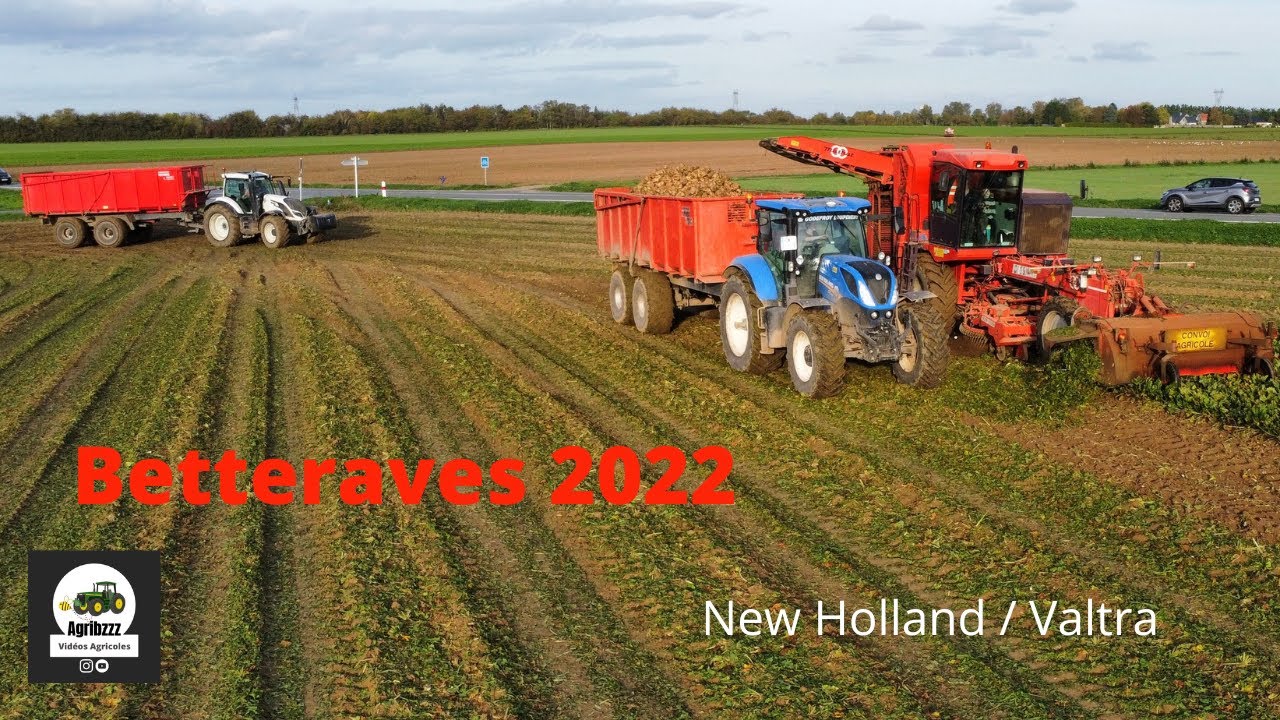 Valtra et New Holland à la récolte de Betteraves sucrières  !!! 🚜🚜 Arracheuse Matrot