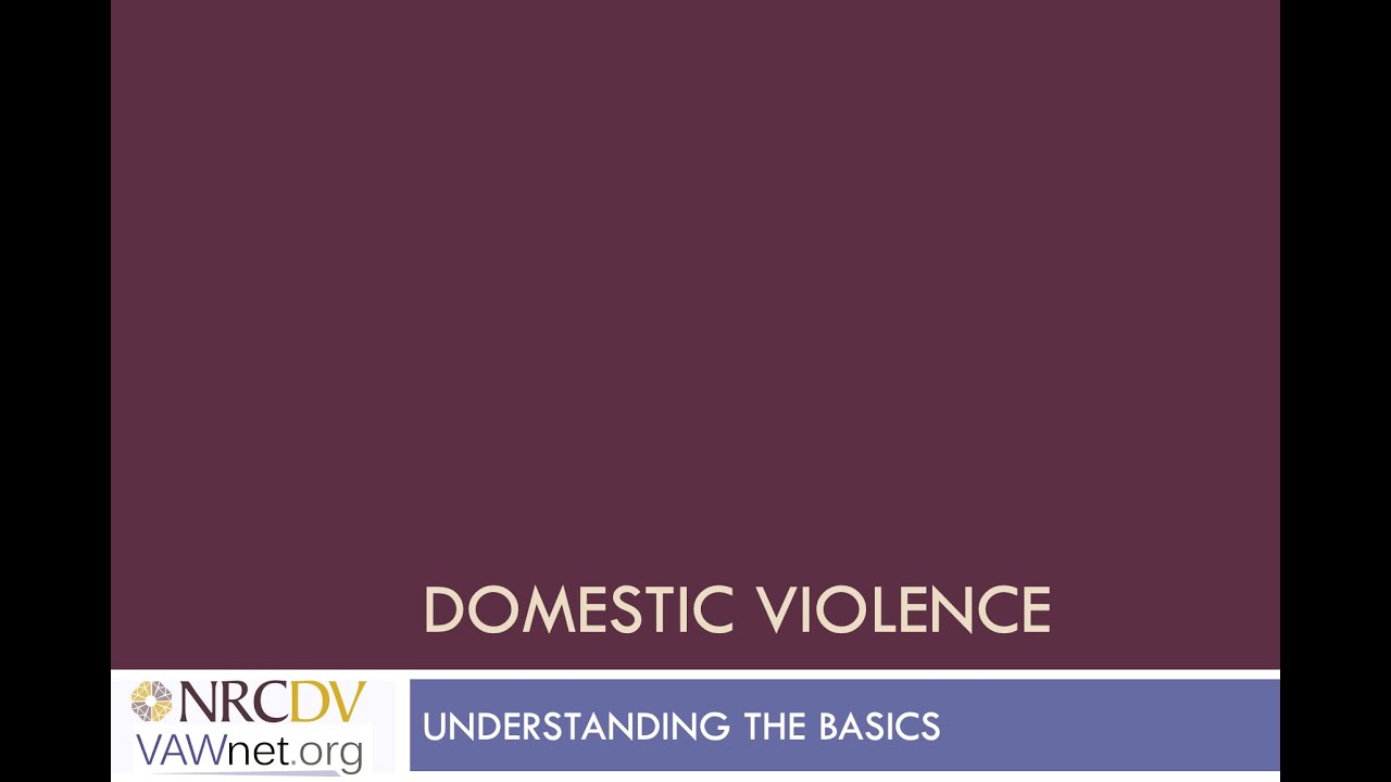 DV 101 Course