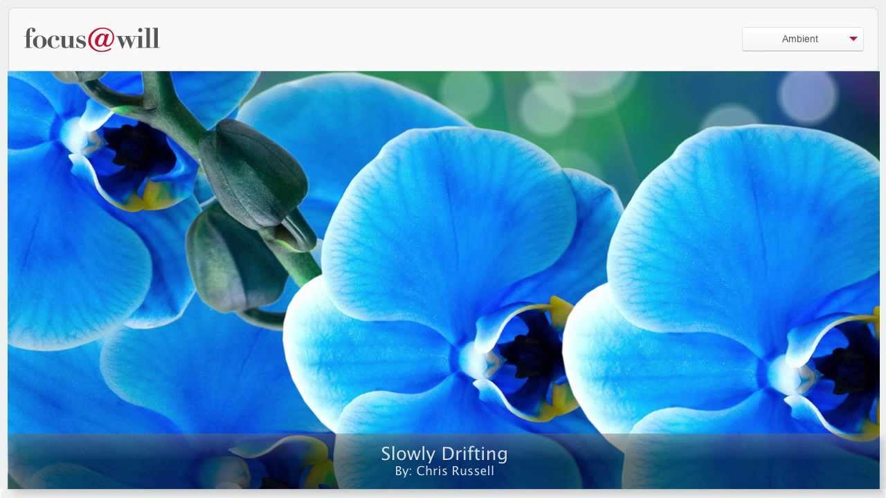 Ambient Music for Study &bull; Work &bull;&nbsp;Focus &bull; Concentration &bull;&nbsp;1 Hour