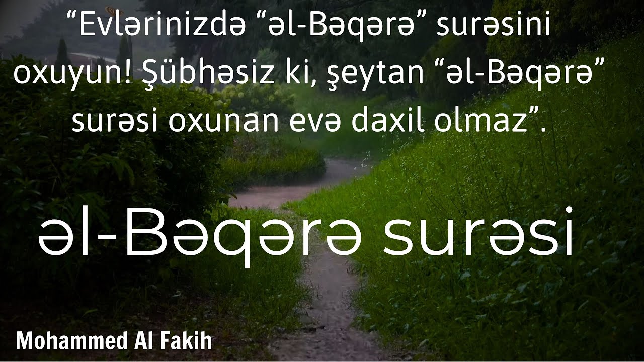 Сура аль-Бакара / سورة البقرة  / Мохаммед Аль Факих