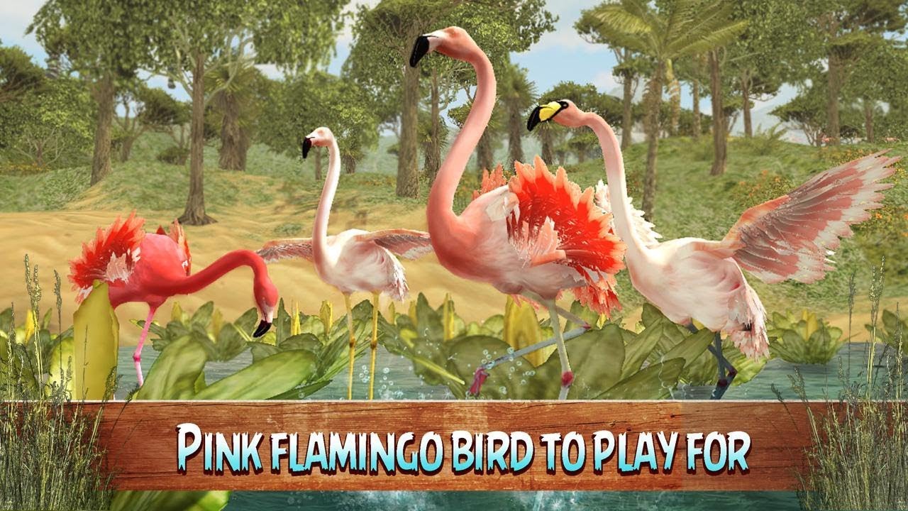 Wild Pink Flamingo Life Simulator-By My Pocket Animals Studio