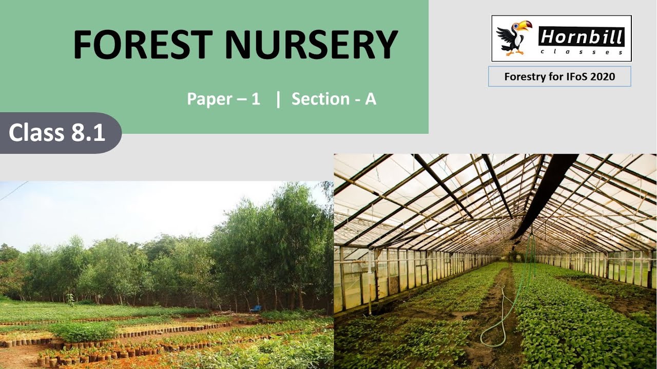 11. IFoS-2020  |  Silviculture - Forest Nursery