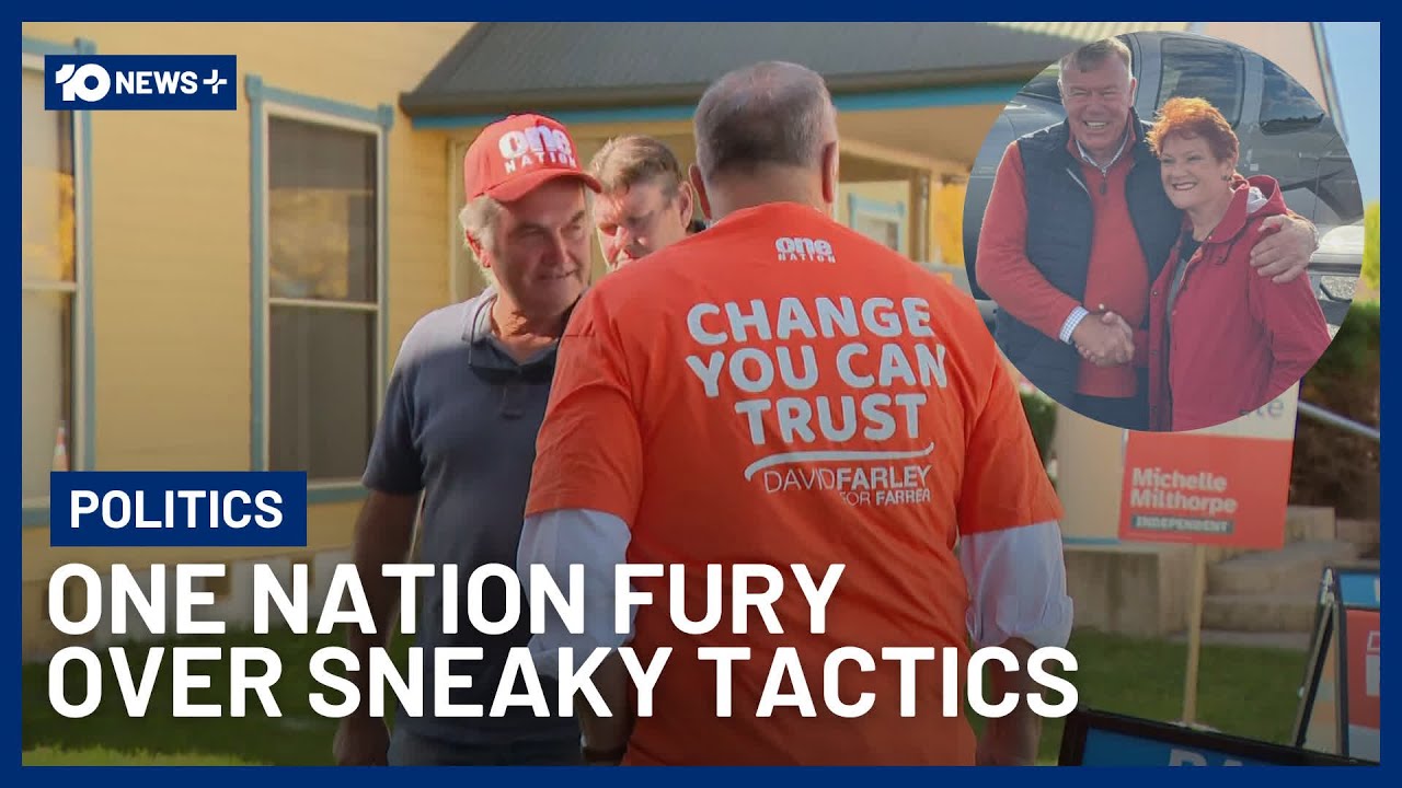 One Nation под шквалом критики из-за предвыборных обещаний в последний момент | 10 News+