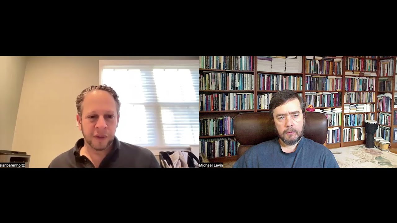 Discussion #1 with Elan Barenholtz