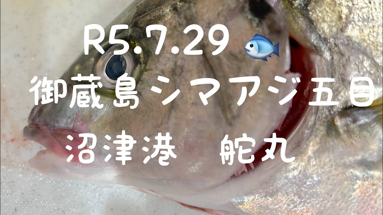 ［破壊的に美味しい豚ハラミ焼き］沼津港舵丸で御蔵島シマアジ五目釣り