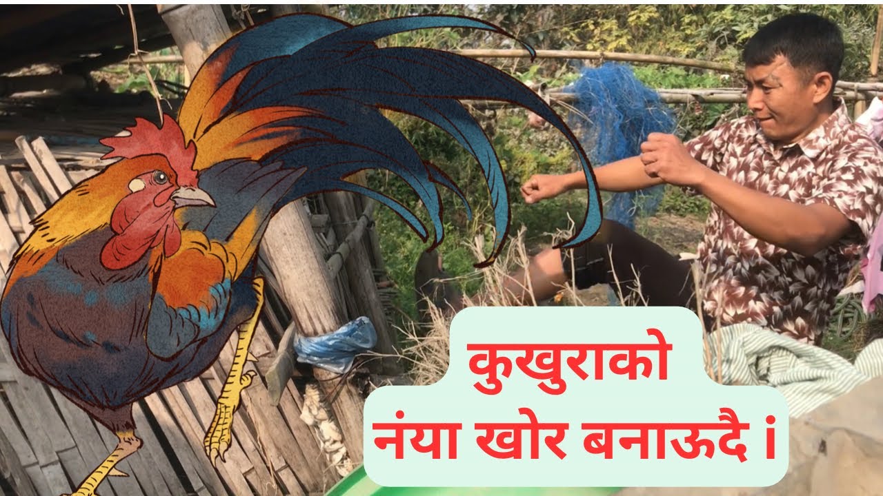 कुखुराको नंया खोर बनाऊदै 14 February 2026