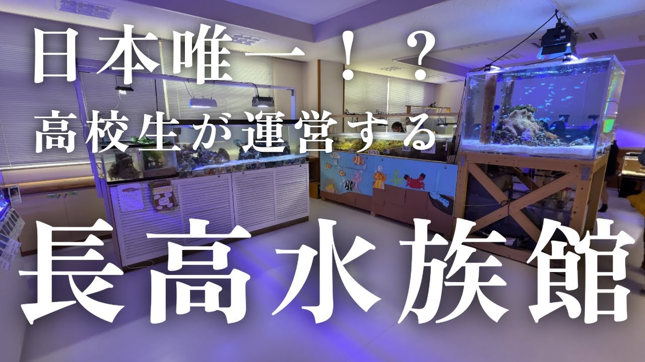 【🏫日本唯一！？】高校生が運営する水族館！長高水族館の魅力に迫る🐠