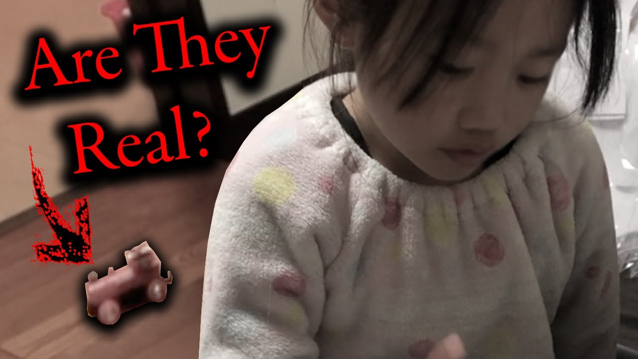 Paranormal Videos That I Can't Explain