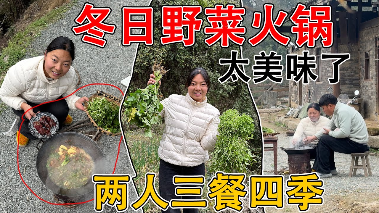 00后夫妻的农村生活，山里到处都是宝  随便跑一圈收获满满，在院子吃第一顿野菜火锅！