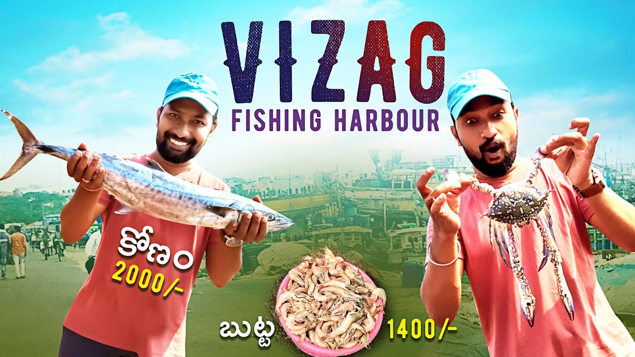 మీరు ఎప్పుడైనా వైజాగ్ ఫిషింగ్ హార్బర్‌కి వెళ్లారా? #vizagfishingharbour