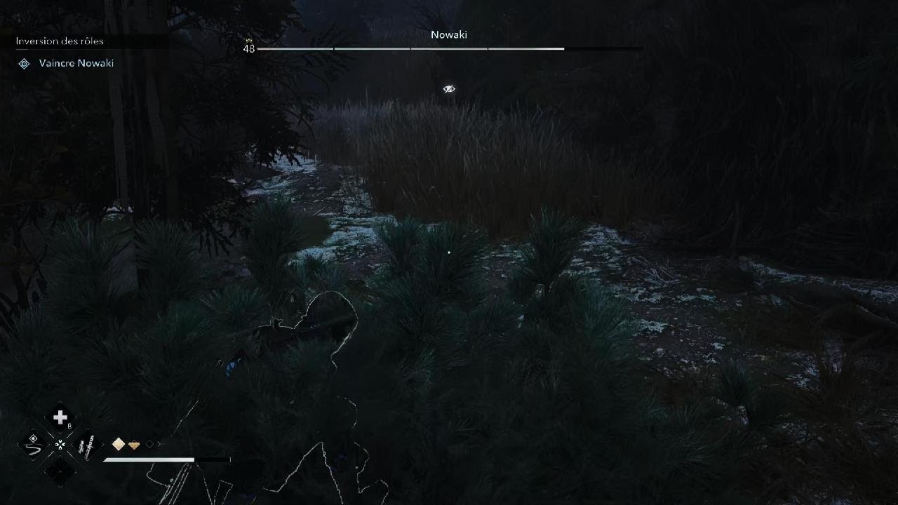 Assassin's Creed Shadows J'en ai assez vu de ces étrangetés.