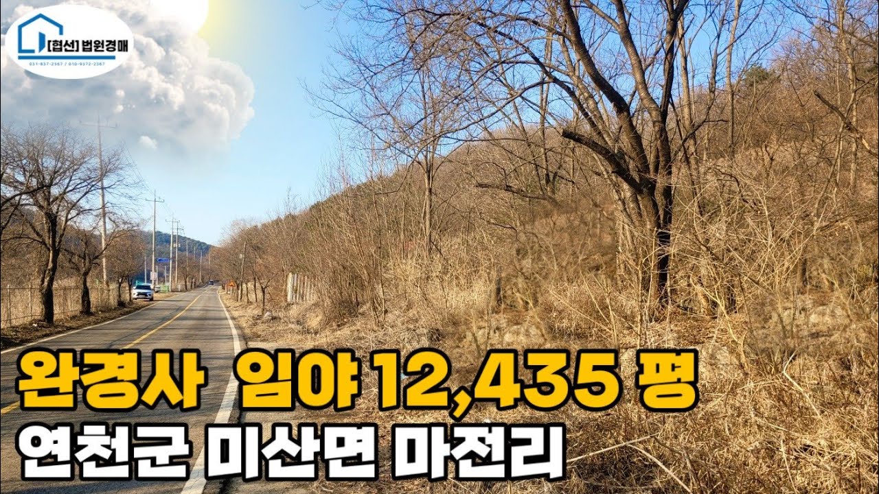 (03.10 24%) [경매 502]- 계획관리 임야 12,435평
