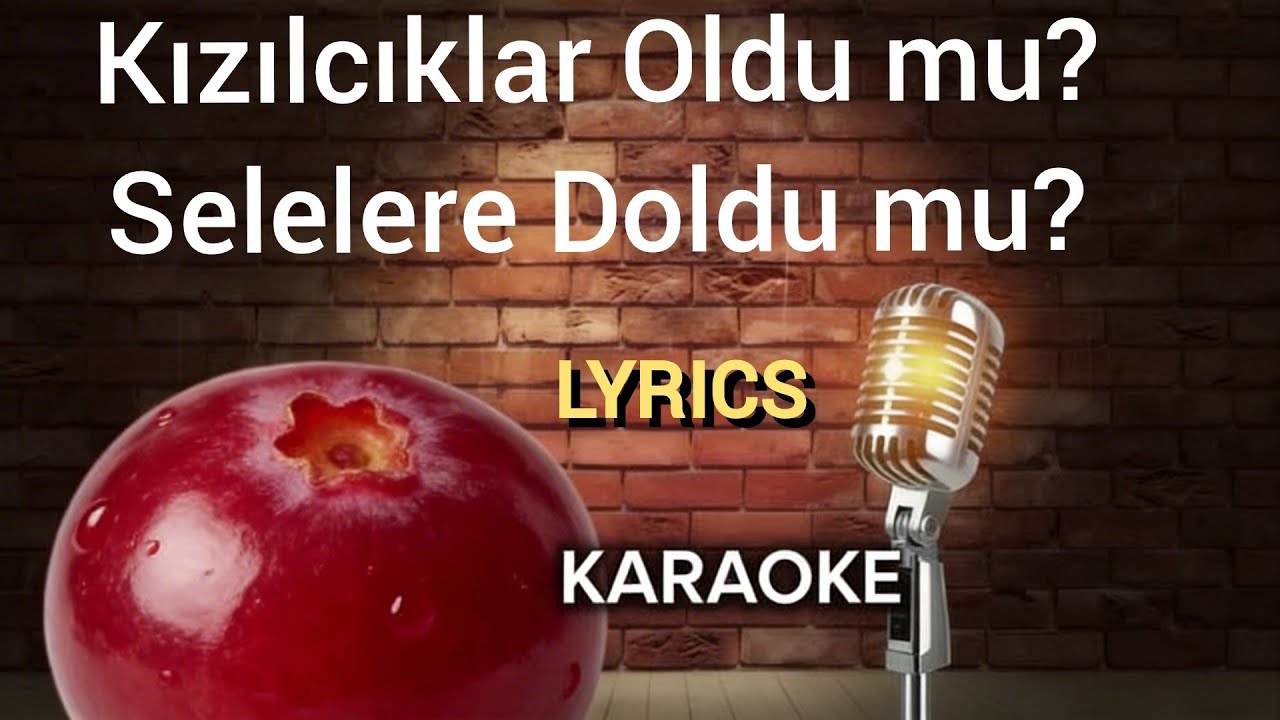 Kızılcıklar Oldu mu? Selelere doldu mu? Karaoke Altyapı FonMüziği Enstrümantal Instrumental 