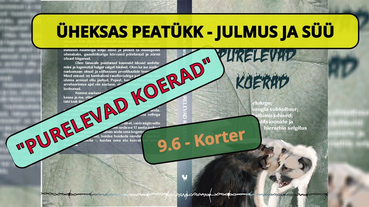 9.6 - Korter - Audioraamat