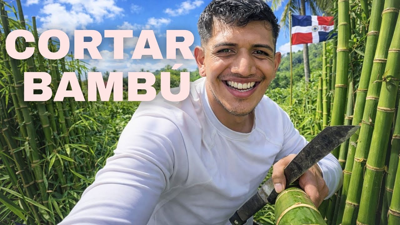 Así es un VOLUNTARIADO en REPÚBLICA DOMINICANA / Me pusieron a recoger BAMBÚ