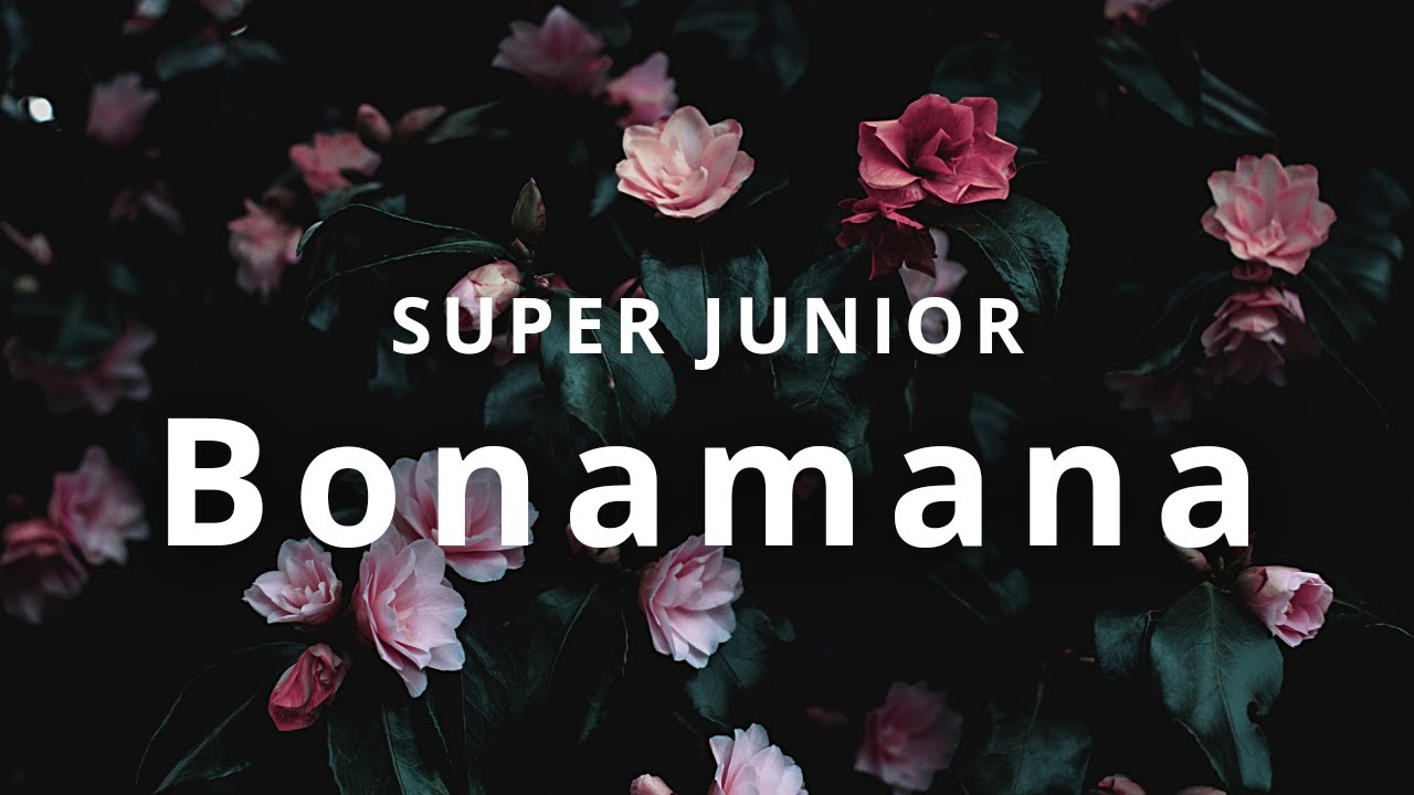Super Junior - Bonamana AUDIO | ECHO TUNES