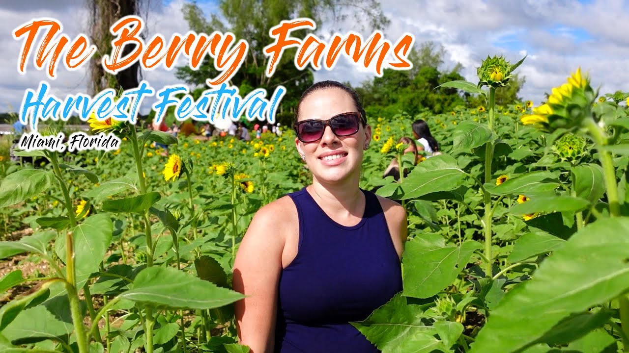 The Berry Farms Harvest Festival | Miami, Florida