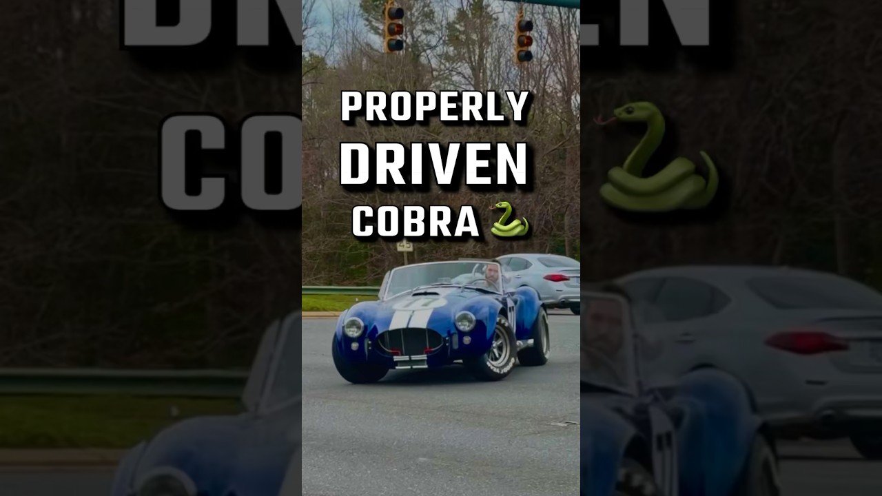 SHELBY COBRA 427 🐍 #driven