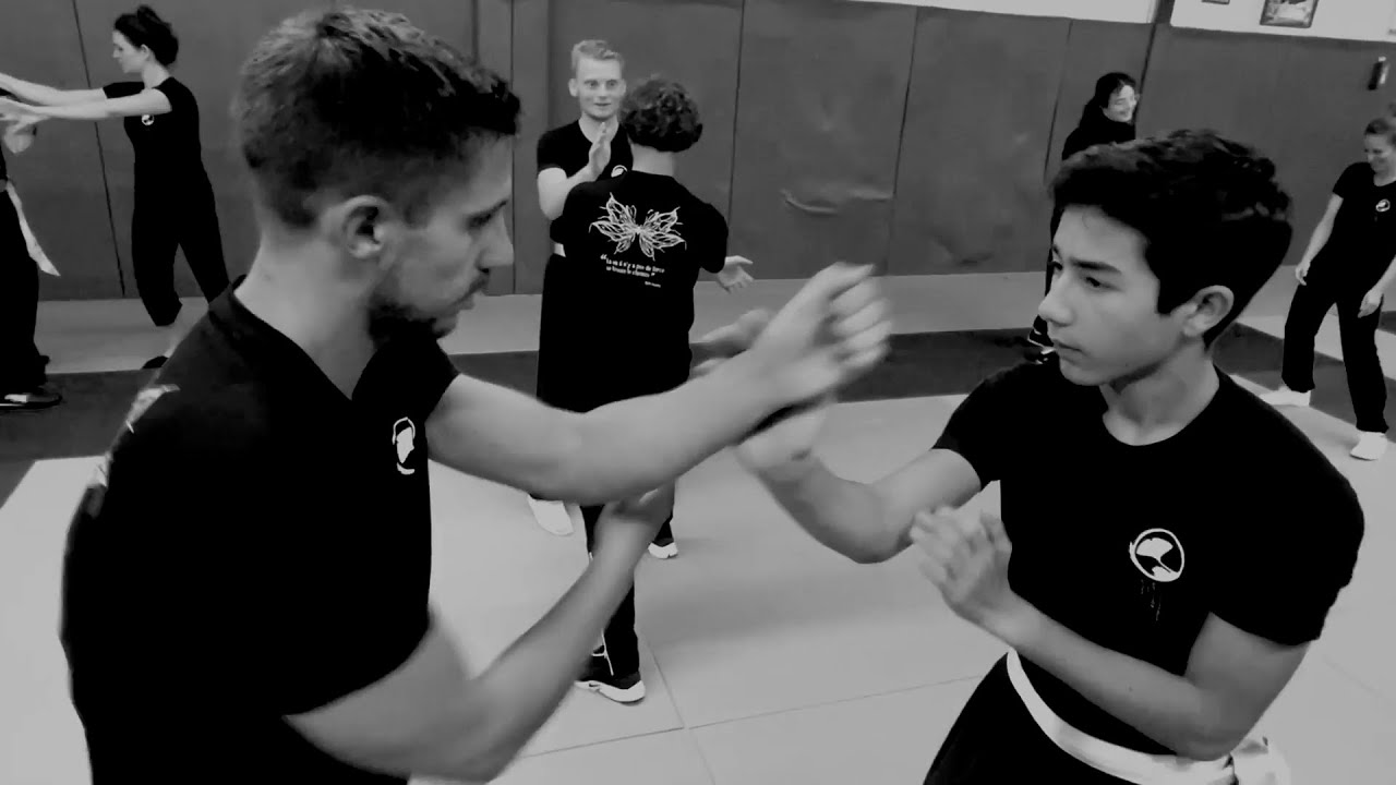 WingChun, l'envol du papillon