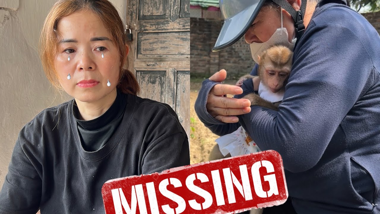 Mom was worried when she couldn't find monkey Tina, which made her very sad.