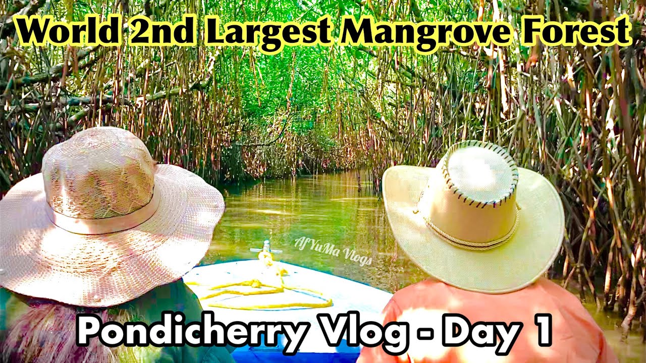 Pondicherry Vlog (Day 1) | World 2nd Largest Mangrove Forest In India (Pondicherry) | AfYuMa Vlogs