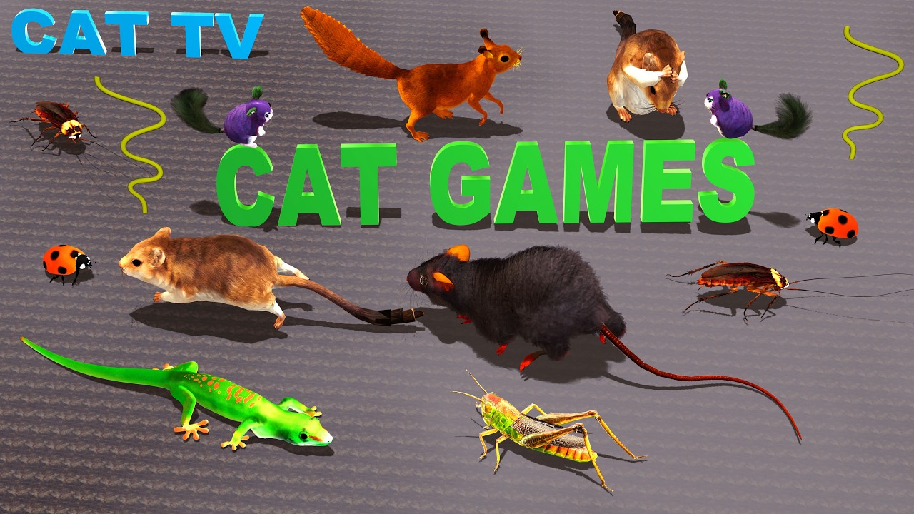 CAT GAMES | Cat TV Adventure: Mice & Insects for Cats | Playtime TV for Cats | 4K