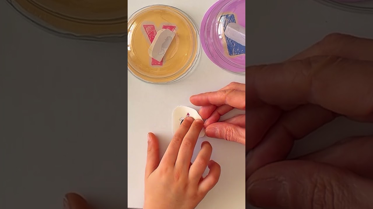L-R-Y Seslerini Oyunla Öğreniyoruz! 🧠 Okuma Yazmaya Hazırlık | Phonics Activities for Kids