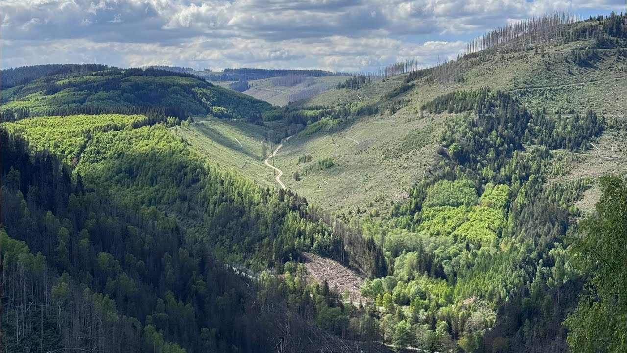 Harzer Trails