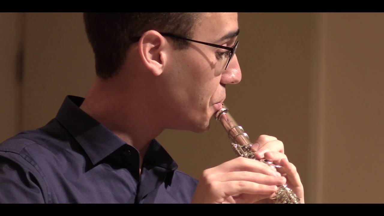 F. Schubert - Ständchen (Serenade) for Flute and Piano (HD)