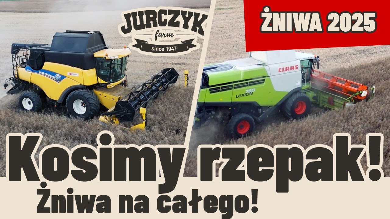 84. Żniwa rzepaku 2025! Mimo przymrozków plon nas zaskoczył