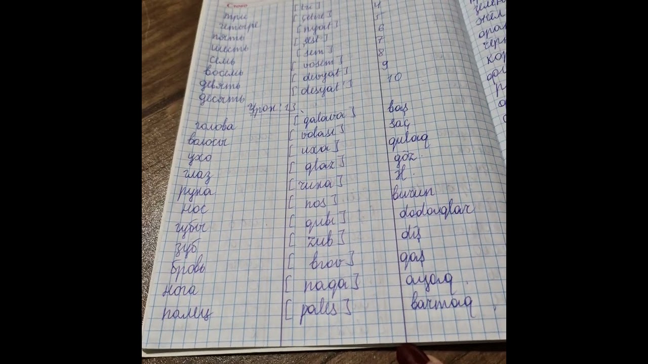 Rus dili 1 ci sinif urok 16,15,14,13 hamısı