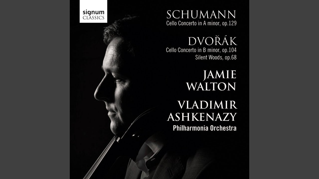 Cello Concerto in B Minor, Op. 104: I. Allegro