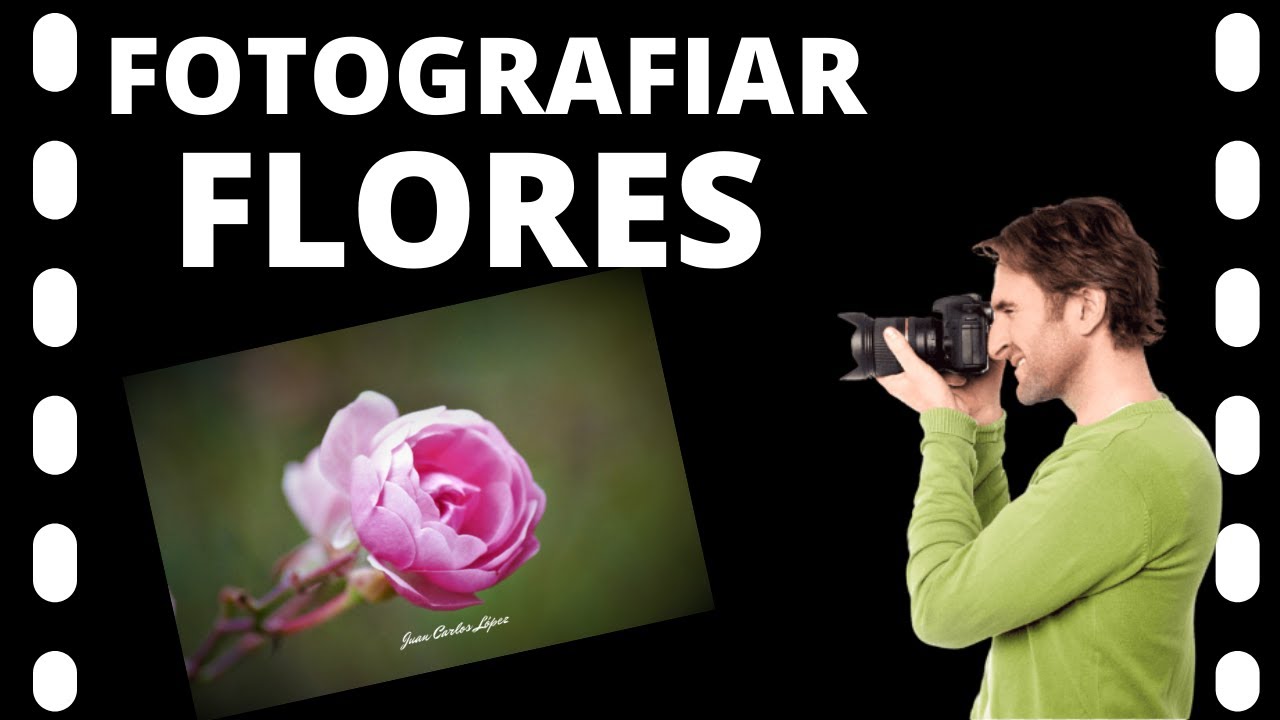 Como FOTOGRAFIAR FLORES Consejos Practicos