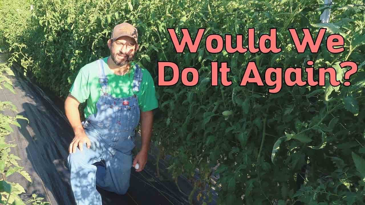 Does Woven Ground Cover Really Work in the Garden?