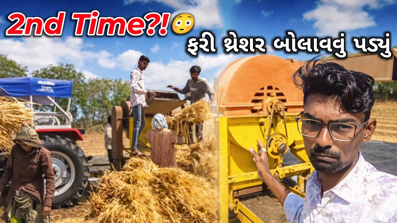 બીજી વાર થ્રેશર બોલાવવું પડ્યું! 😳 | આખરે ઘઉંનું કામ પૂરું થયું 🌾
