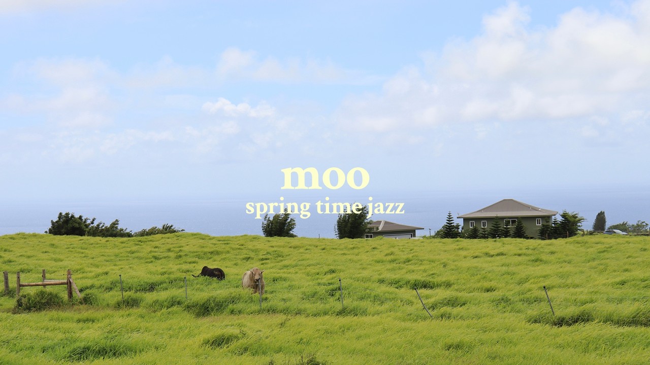 mooing (rooting) for you 🐄 🌱1hr minimalist cafe music for deep work, growth & reflections