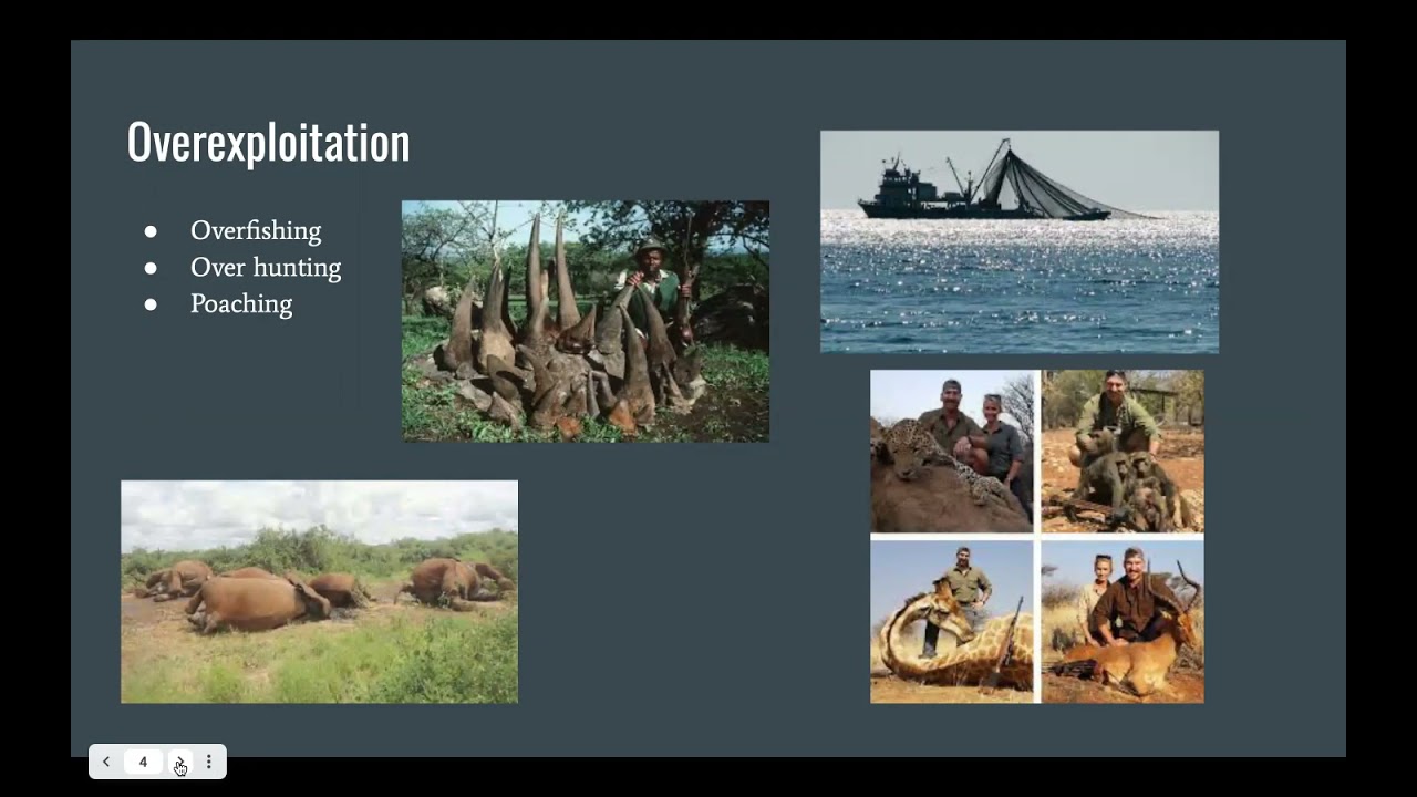 Ecological Diversity
