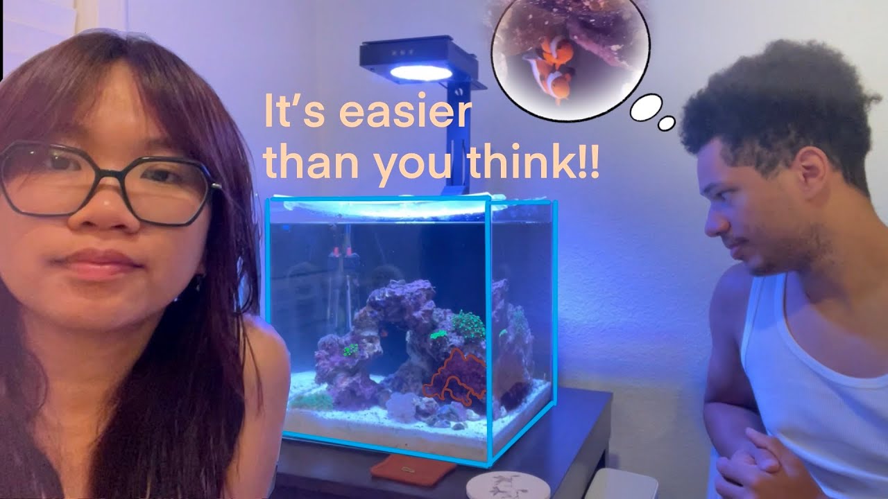 WE MADE A NANO NO-FILTER REEF TANK FOR SOME CLOWNFISH! (Nano Reef Ep 1: hardscape and fish!)