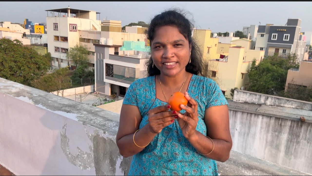 தோட்டத்தை பார்க்கலாம் வாங்க 