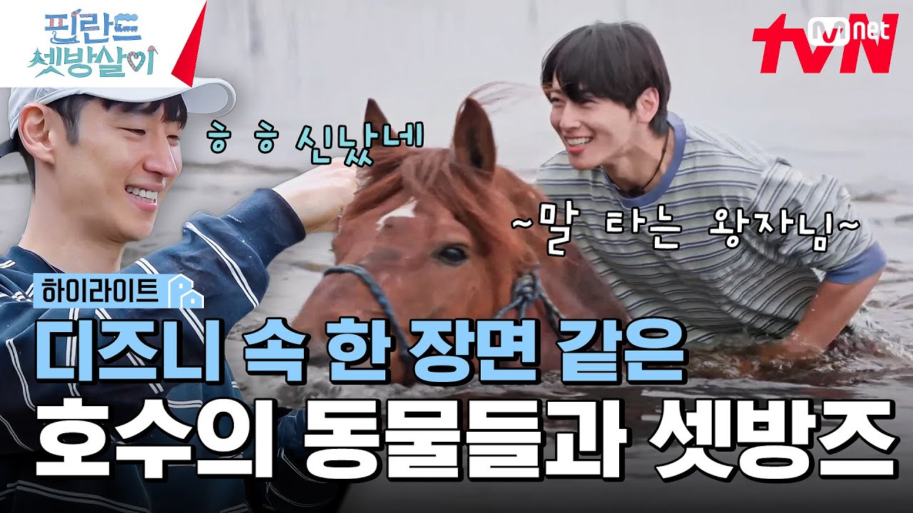 디즈니 속 한 장면 같은 동물들과 셋방즈💚💙 #highlight #핀란드셋방살이 EP.10